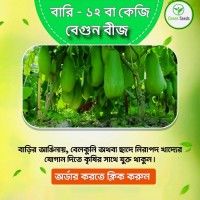 বারি -12 বা কেজি বেগুনের বীজ ফ্রী বারোমাসি শসা বীজ,